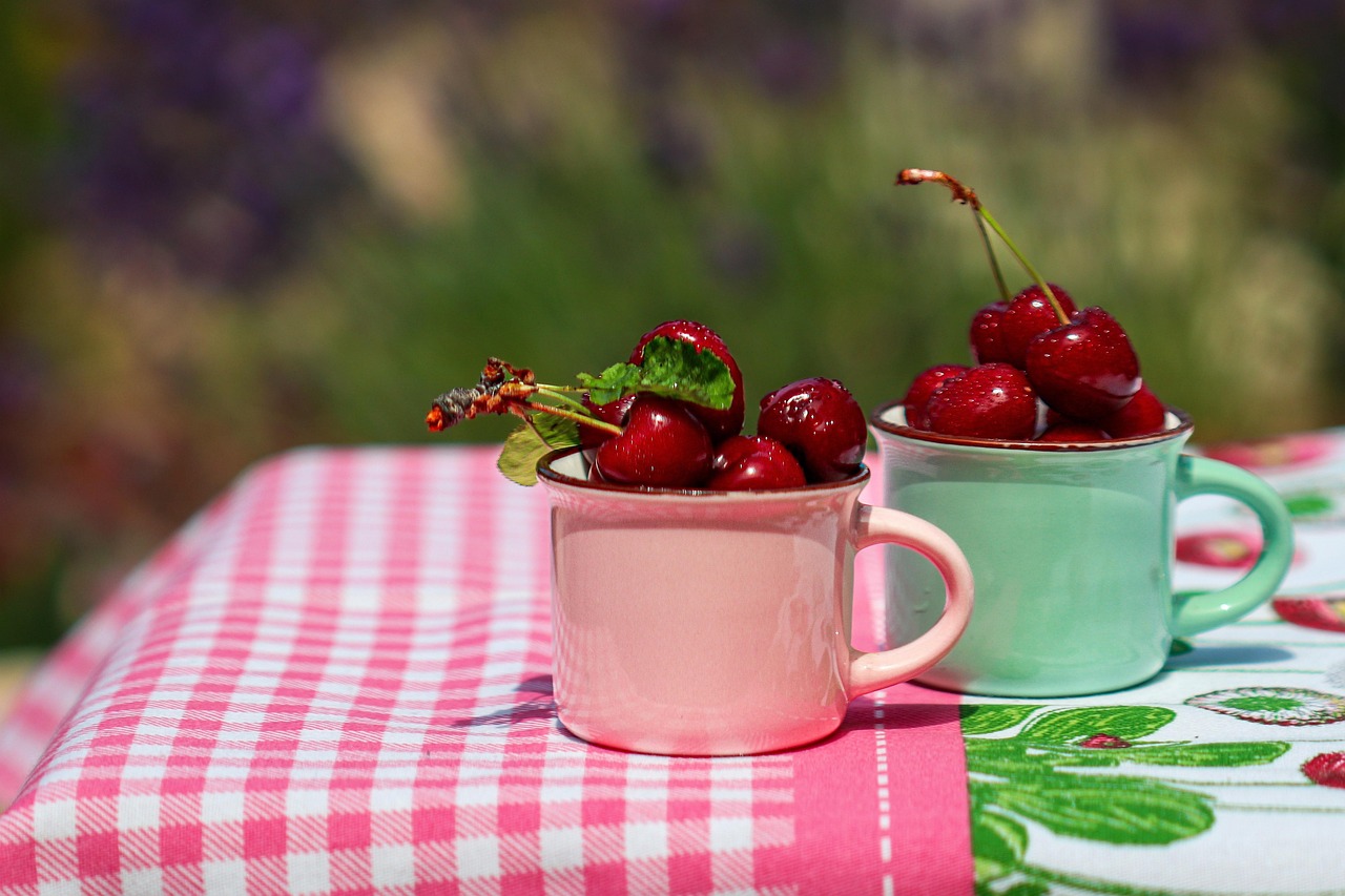 Raccolta di ciliegie in un borgo laziale, partecipanti sorridenti nei filari di alberi fioriti.