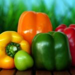 Peperoni freschi su un tavolo con spezie e ingredienti per migliorarne la digeribilità.